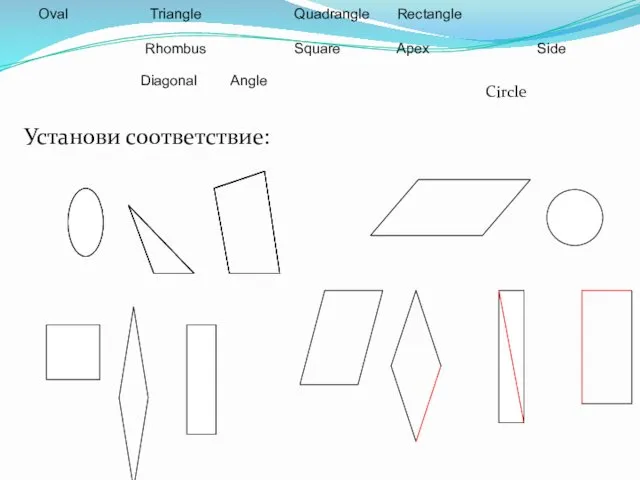 Oval Triangle Quadrangle Rectangle Rhombus Square Apex Side Diagonal Angle Установи соответствие: Cirсlе