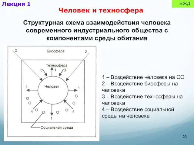 Лекция 1 БЖД Человек и техносфера 1 – Воздействие человека