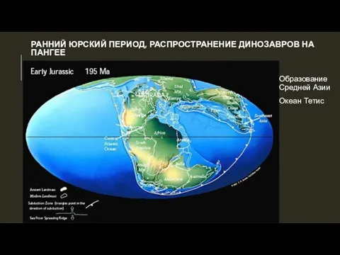 РАННИЙ ЮРСКИЙ ПЕРИОД, РАСПРОСТРАНЕНИЕ ДИНОЗАВРОВ НА ПАНГЕЕ Образование Средней Азии Океан Тетис