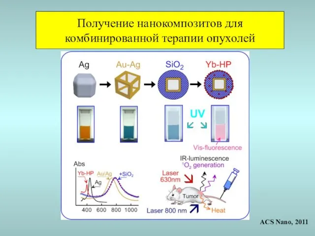 Получение нанокомпозитов для комбинированной терапии опухолей ACS Nano, 2011