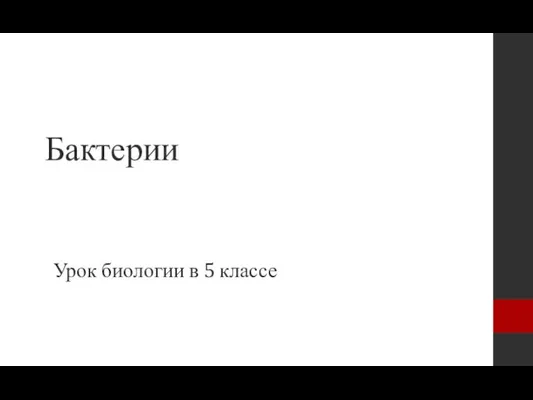 Бактерии Урок биологии в 5 классе