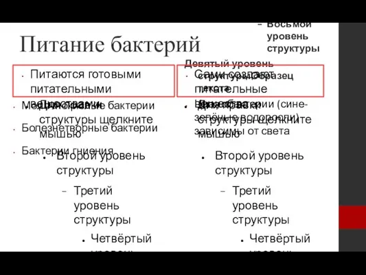 Питание бактерий Питаются готовыми питательными веществами Молочнокислые бактерии Болезнетворные бактерии