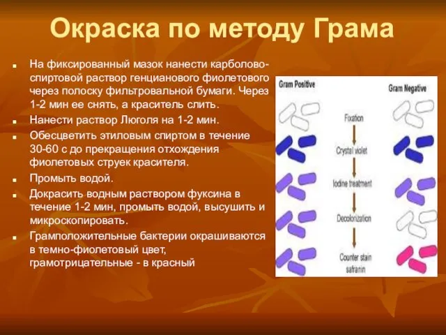 Окраска по методу Грама На фиксированный мазок нанести карболово-спиртовой раствор