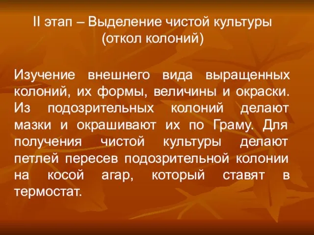 II этап – Выделение чистой культуры (откол колоний) Изучение внешнего