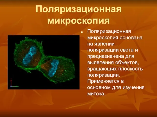 Поляризационная микроскопия Поляризационная микроскопия основана на явлении поляризации света и