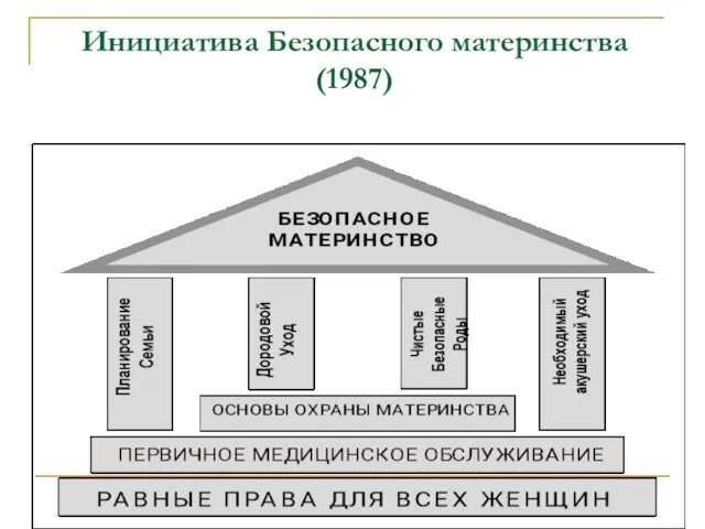 Инициатива Безопасного материнства (1987)