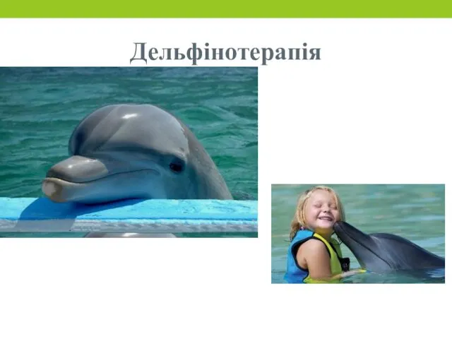 Дельфінотерапія
