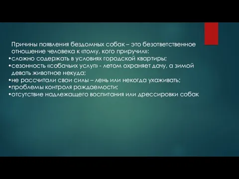 Причины появления бездомных собак – это безответственное отношение человека к