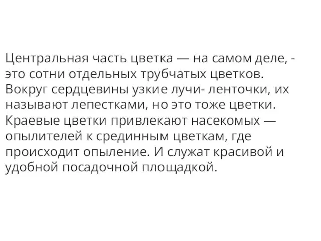 Центральная часть цветка — на самом деле, - это сотни