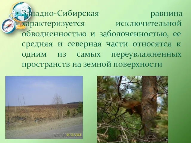 Западно-Сибирская равнина характеризуется исключительной обводненностью и заболоченностью, ее средняя и