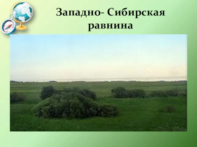 Западно- Сибирская равнина