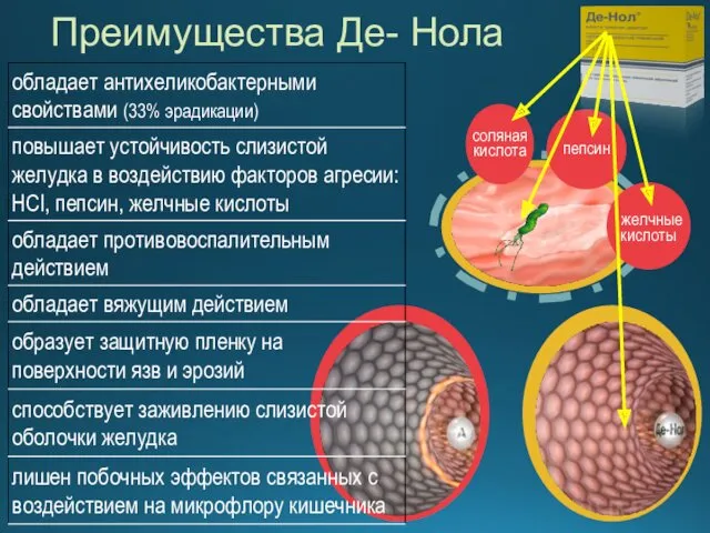 желчные кислоты пепсин соляная кислота Преимущества Де- Нола