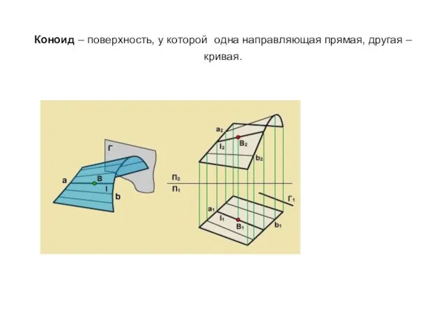 Коноид – поверхность, у которой одна направляющая прямая, другая – кривая.