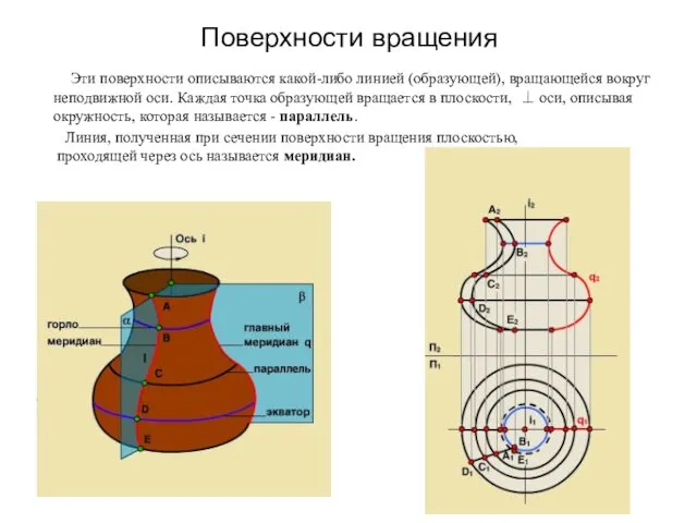 Поверхности вращения Эти поверхности описываются какой-либо линией (образующей), вращающейся вокруг