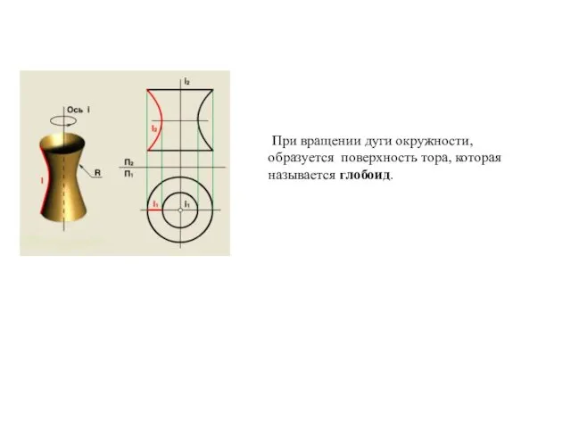 При вращении дуги окружности, образуется поверхность тора, которая называется глобоид.