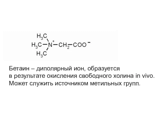 Бетаин – диполярный ион, образуется в результате окисления свободного холина in vivo. Может