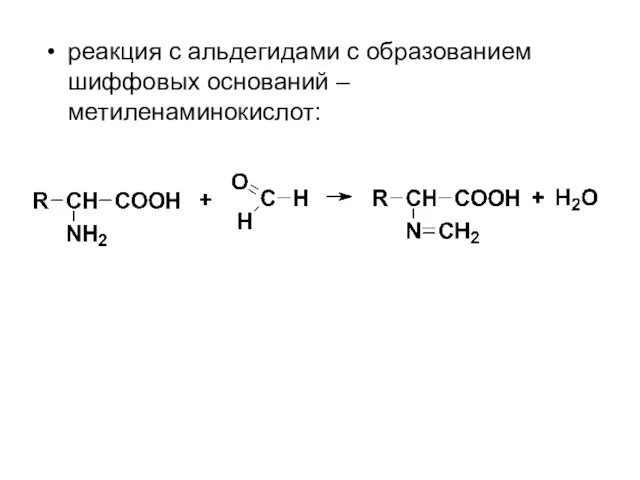 реакция с альдегидами с образованием шиффовых оснований – метиленаминокислот: