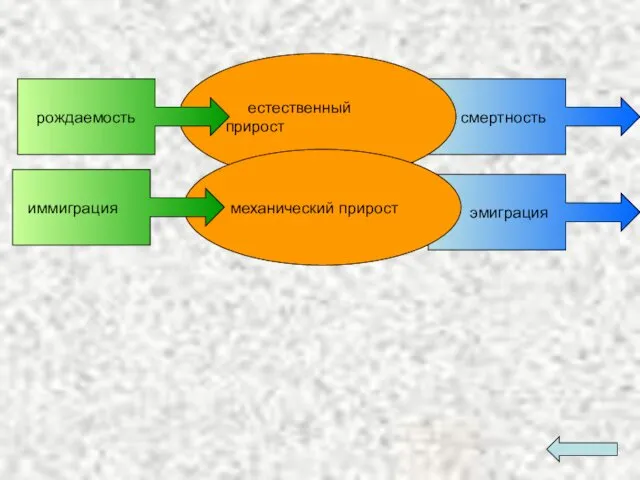 эмиграция смертность естественный прирост механический прирост рождаемость иммиграция