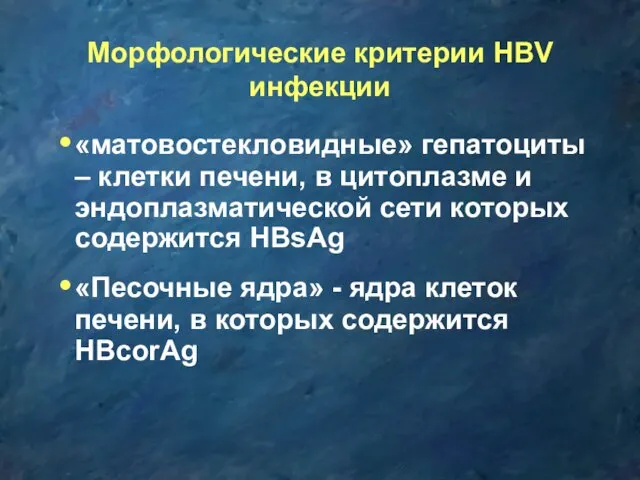 Морфологические критерии HBV инфекции «матовостекловидные» гепатоциты – клетки печени, в