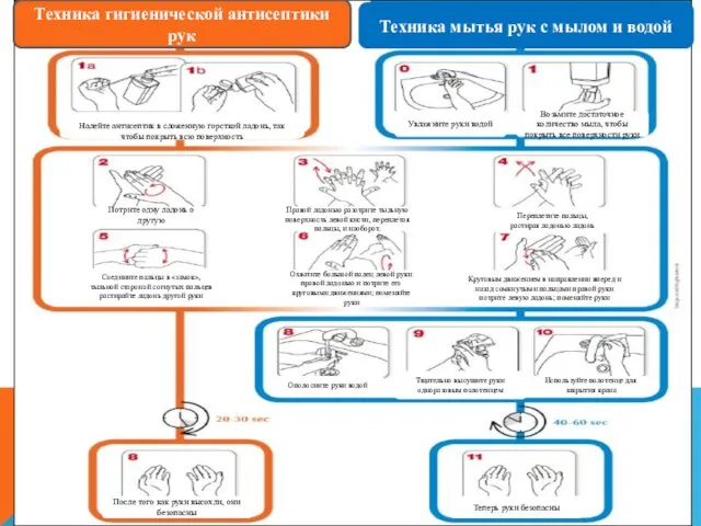 Техника мытья рук с мылом и водой Техника гигиенической антисептики