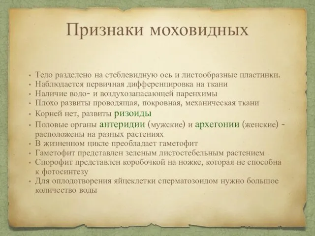 Признаки моховидных Тело разделено на стеблевидную ось и листообразные пластинки.