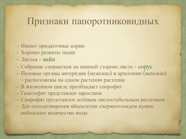 Признаки папоротниковидных Имеют придаточные корни Хорошо развиты ткани Листья -