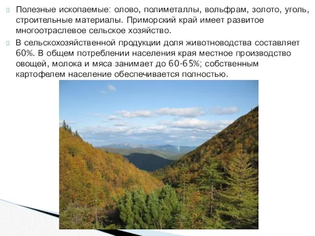 Полезные ископаемые: олово, полиметаллы, вольфрам, золото, уголь, строительные материалы. Приморский