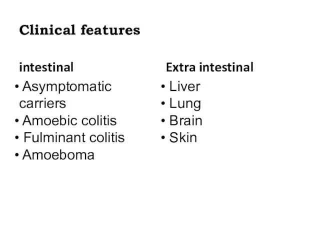 Clinical features intestinal Asymptomatic carriers Amoebic colitis Fulminant colitis Amoeboma Extra intestinal Liver Lung Brain Skin