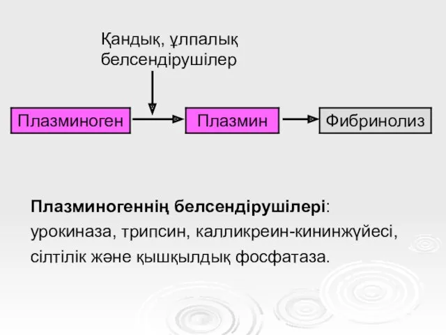 Қандық, ұлпалық белсендірушілер Плазминогеннің белсендірушілері: урокиназа, трипсин, калликреин-кининжүйесі, сілтілік және қышқылдық фосфатаза.