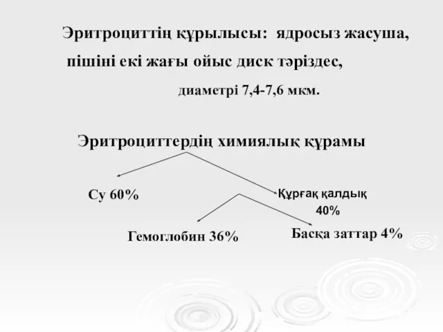 Эритроциттің құрылысы: ядросыз жасуша, пішіні екі жағы ойыс диск тәріздес,