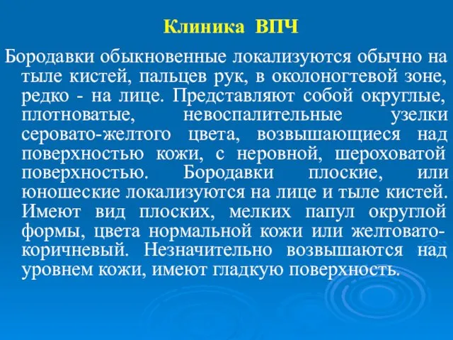 Клиника ВПЧ Бородавки обыкновенные локализуются обычно на тыле кистей, пальцев