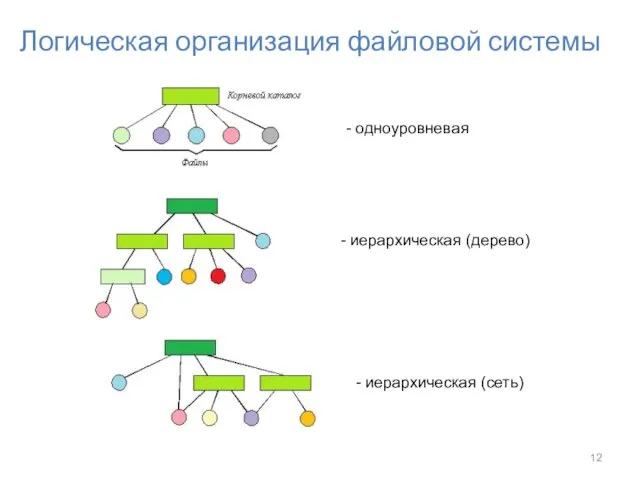 Логическая организация файловой системы - иерархическая (сеть) - одноуровневая - иерархическая (дерево)