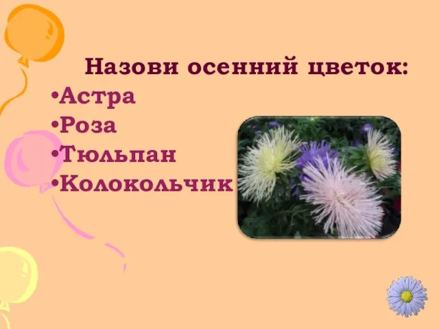 Назови осенний цветок: Астра Роза Тюльпан Колокольчик