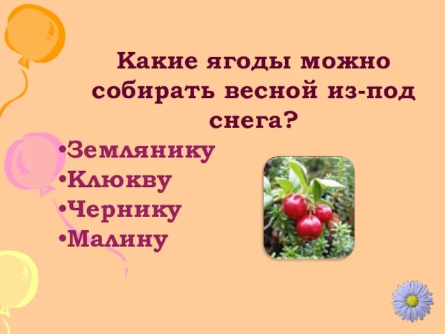 Какие ягоды можно собирать весной из-под снега? Землянику Клюкву Чернику Малину