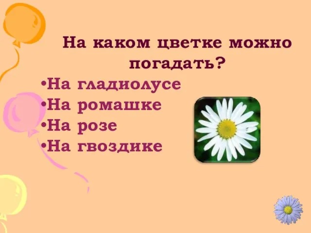 На каком цветке можно погадать? На гладиолусе На ромашке На розе На гвоздике