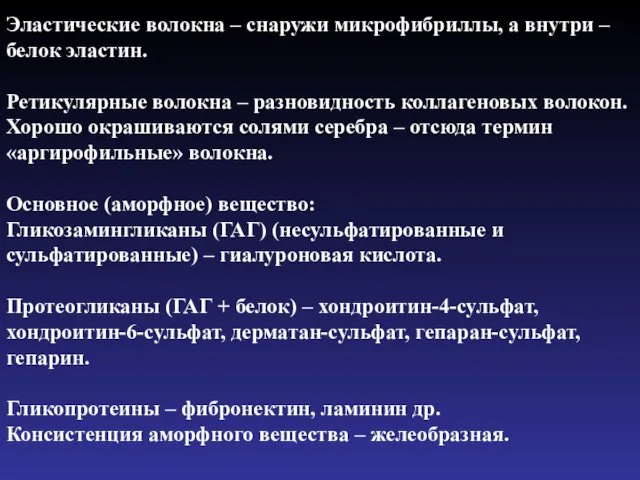 Эластические волокна – снаружи микрофибриллы, а внутри – белок эластин.