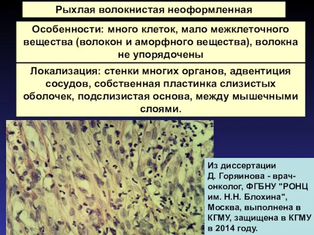 Рыхлая волокнистая неоформленная Особенности: много клеток, мало межклеточного вещества (волокон