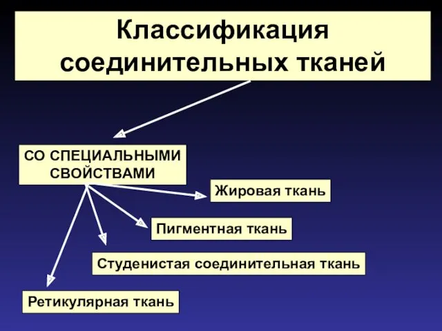 Классификация соединительных тканей СО СПЕЦИАЛЬНЫМИ СВОЙСТВАМИ Жировая ткань Пигментная ткань Ретикулярная ткань Студенистая соединительная ткань