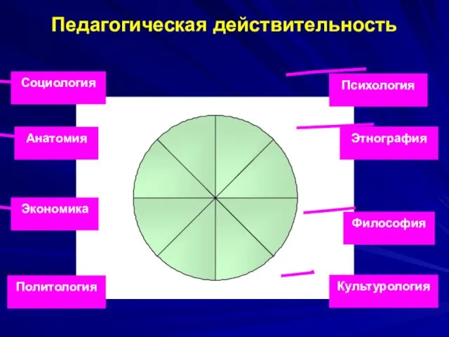 Педагогическая действительность