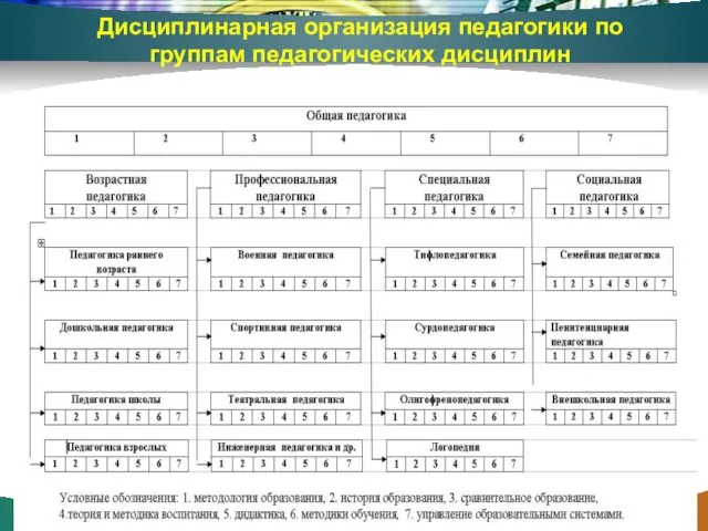 Дисциплинарная организация педагогики по группам педагогических дисциплин