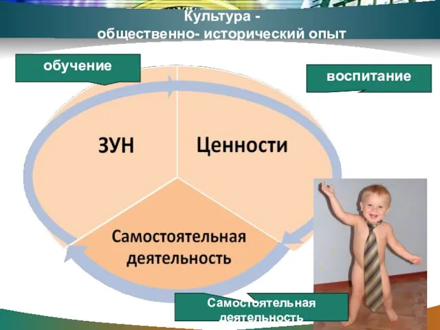 Культура - общественно- исторический опыт воспитание обучение Самостоятельная деятельность