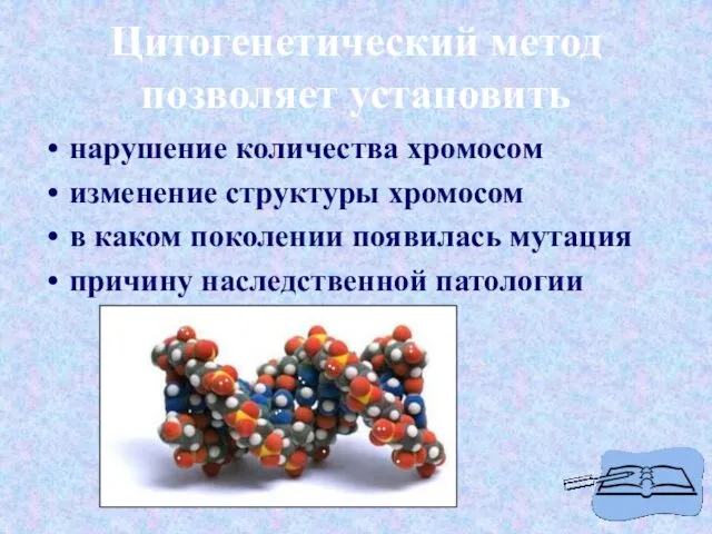 Цитогенетический метод позволяет установить нарушение количества хромосом изменение структуры хромосом