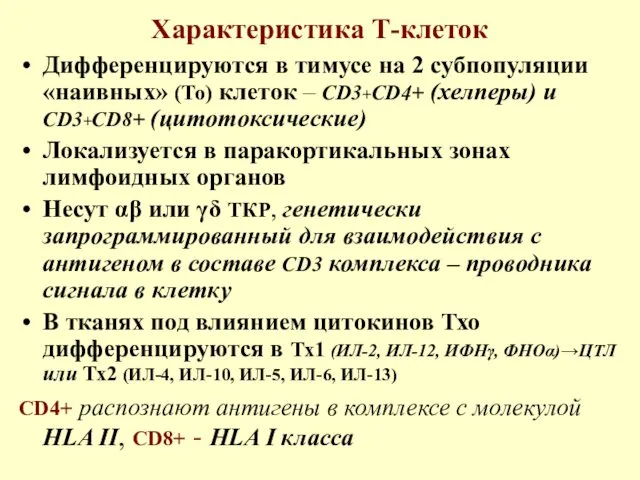 Характеристика Т-клеток Дифференцируются в тимусе на 2 субпопуляции «наивных» (То) клеток – СD3+СD4+