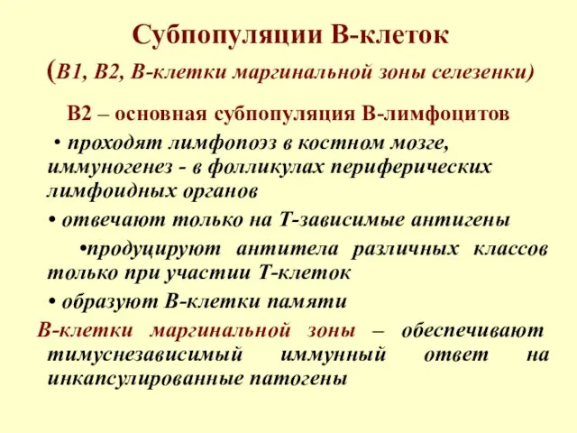 Субпопуляции В-клеток (В1, В2, В-клетки маргинальной зоны селезенки) В2 – основная субпопуляция В-лимфоцитов