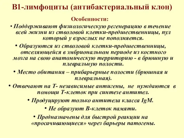 В1-лимфоциты (антибактериальный клон) Особенности: • Поддерживают физиологическую регенерацию в течение всей жизни из