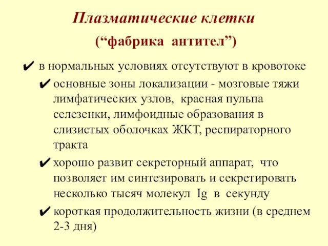 Плазматические клетки (“фабрика антител”) в нормальных условиях отсутствуют в кровотоке