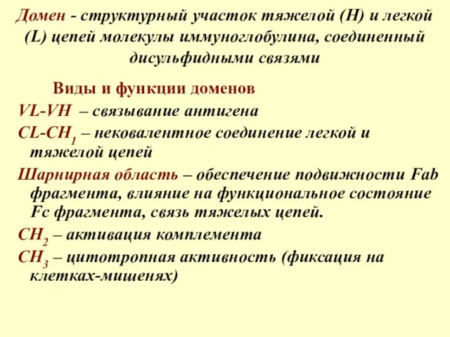 Домен - структурный участок тяжелой (H) и легкой (L) цепей молекулы иммуноглобулина, соединенный