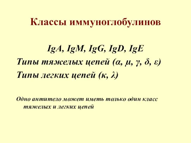 Классы иммуноглобулинов IgA, IgM, IgG, IgD, IgE Типы тяжелых цепей (α, µ, γ,