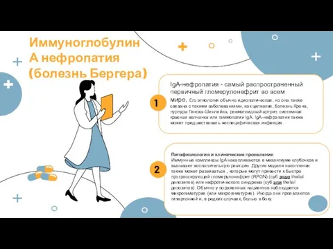 Патофизиология и клинические проявления Иммунные комплексы IgA накапливаются в мезангиуме