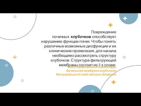 Повреждение почечных клубочков способствует нарушению функции почек. Чтобы понять различные